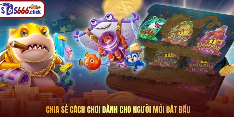Chia sẻ cách chơi dành cho người mới bắt đầu