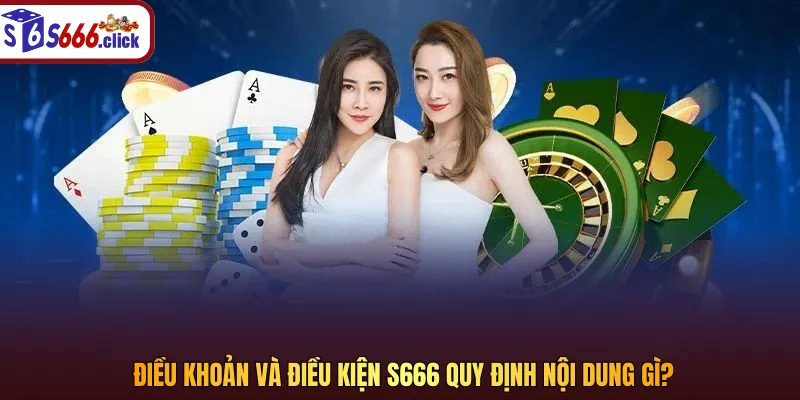 Nội dung quy định về điều khoản và điều kiện tại S666